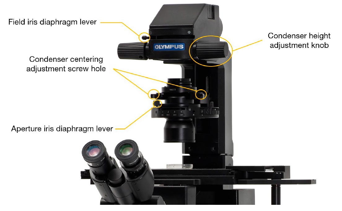 IX73 microscope with an IX2-MLWCD manual condenser