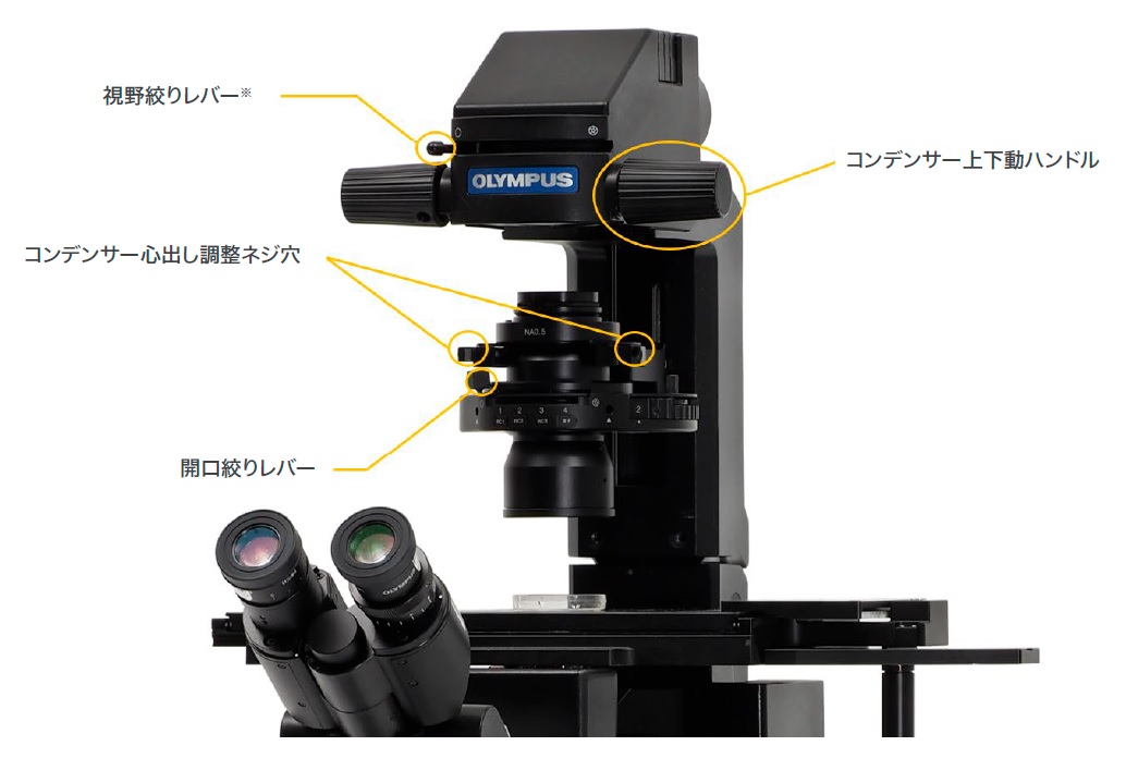 IX73 microscope with an IX2-MLWCD manual condenser