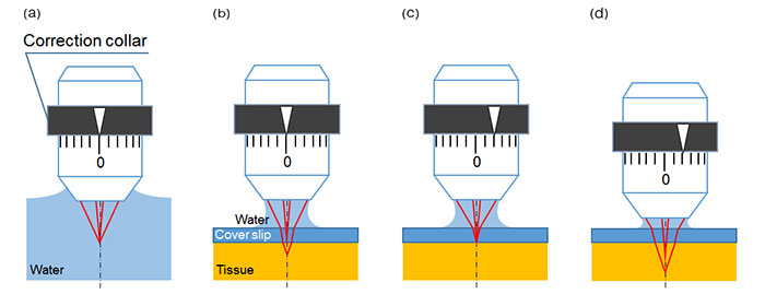 Figure 1: Schematic figures of spherical aberration caused by cover glass or tissue and the effect of correction collar adjustment.