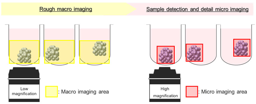 Figura 5. Diagrama esquemático do módulo de formação de imagem macro-para-micro do microscópio confocal de rastreamento a laser FV3000.