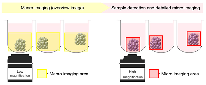 Figure 1. Représentation schématique de l’imagerie macro à micro