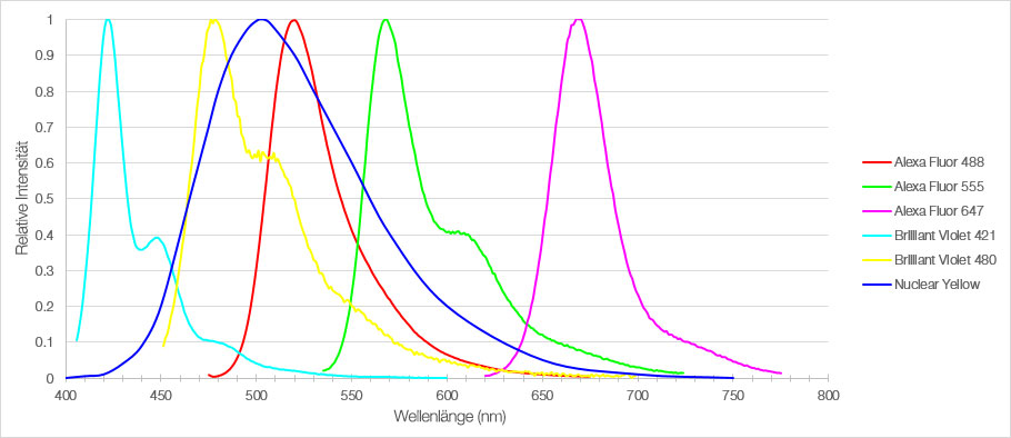 Abbildung 1: Emissionsspektren der sechs Fluorophore, die zur Färbung von Schnitten des medialen präfrontalen Kortex der Maus verwendet wurden.