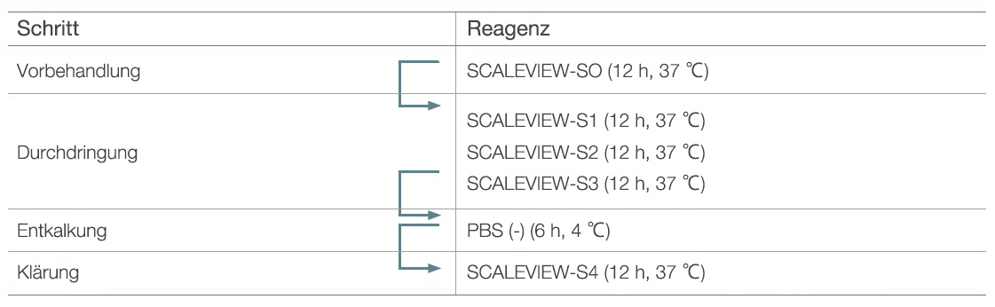 Tabelle 1: Ursprüngliches SCALEVIEW-S-Protokoll