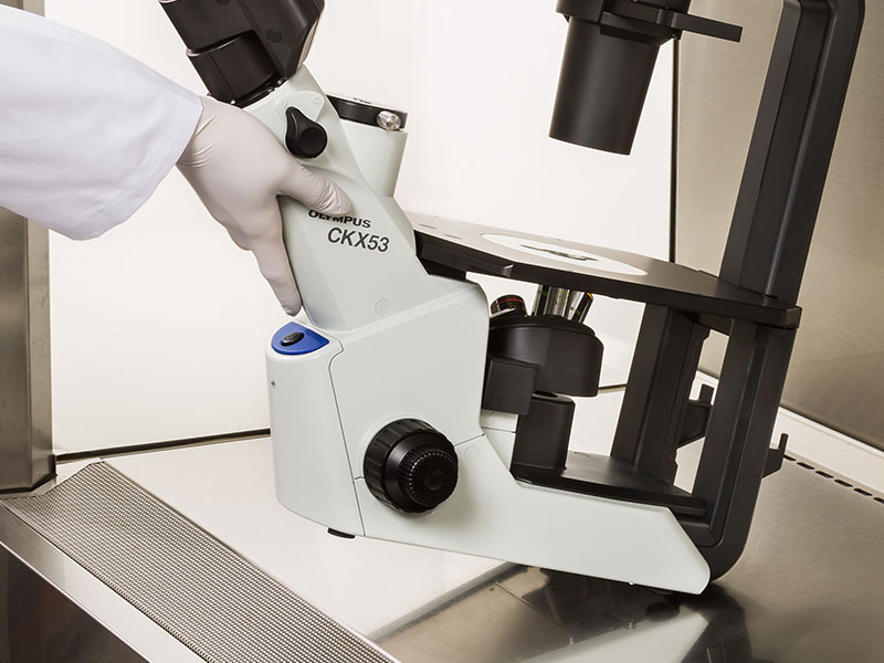 CKX53 | Compact Cell Culture Microscope | Olympus LS