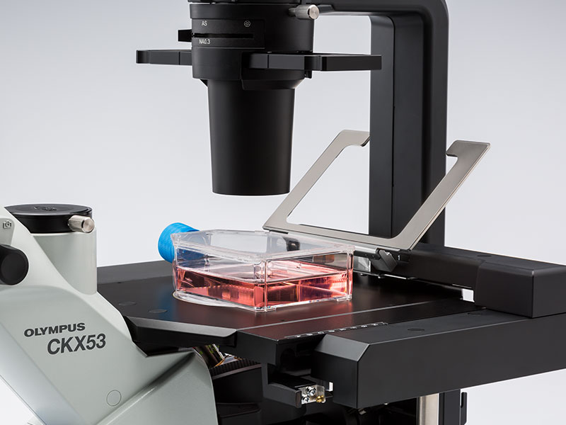 CKX53 | Compact Cell Culture Microscope | Olympus LS