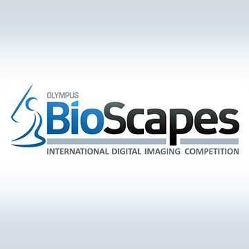 Bioscapes Gallery