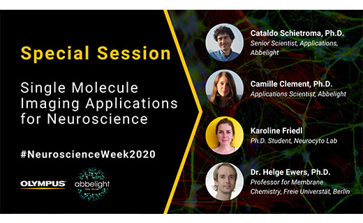 Special Session with Abbelight: Single Molecule Imaging Applications for Neuroscience