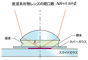 図3 液浸系対物レンズの開口数