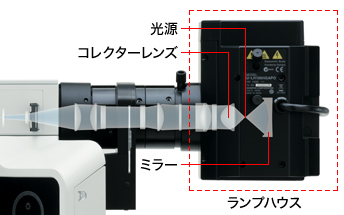 光源は蛍光観察すべての源 | オリンパス ライフサイエンス