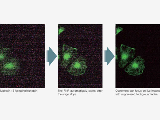 Focus on Dim Fluorescent Signals with Intelligently Designed Noise Reduction