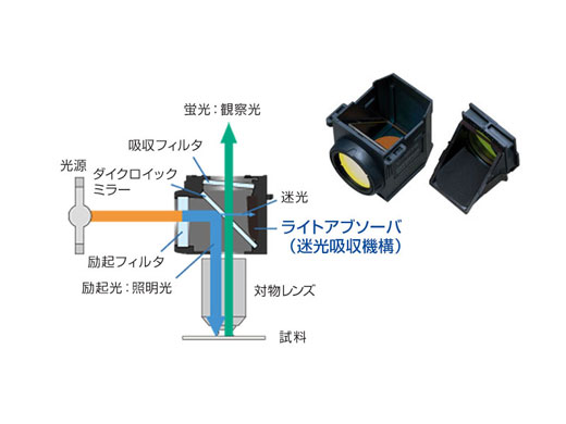 蛍光を効率よく検出する高S/N蛍光ミラーユニット