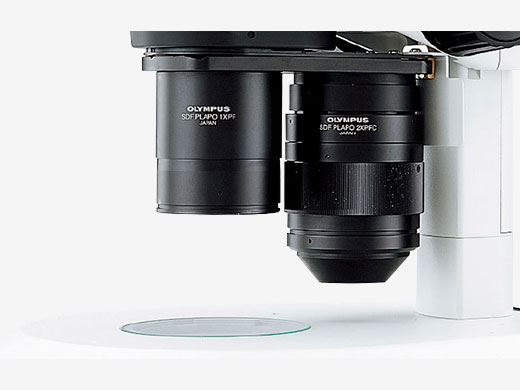 SZX16 | Advanced Stereo Microscope | Olympus LS