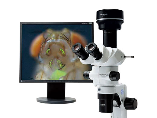 セール特別価格 s776ア オリンパス 顕微鏡 - アンティーク/コレクション