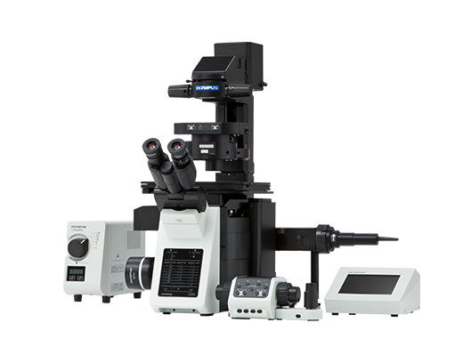 IX83 | Fully-Motorized and Automated Inverted Microscope | Olympus LS