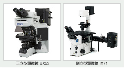 正立型顕微鏡 BX53 / 倒立型顕微鏡 IX71