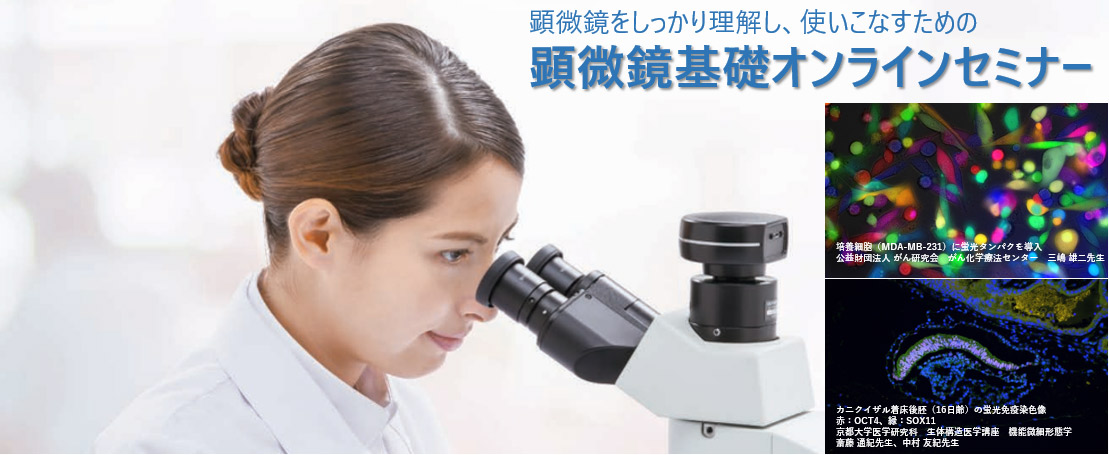 生物顕微鏡 基礎セミナー: 蛍光顕微鏡の基礎 ～原理・仕組み、正しい使い方～