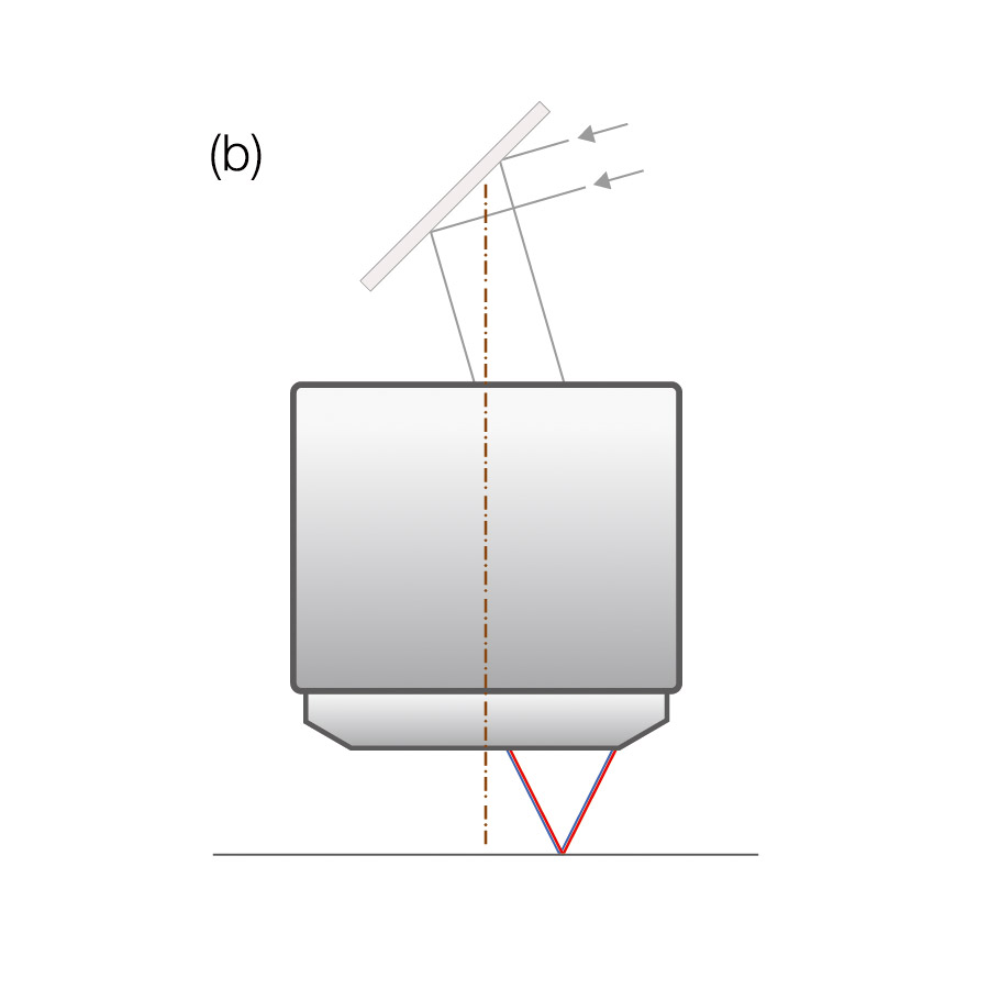 Figure 3 (b)
