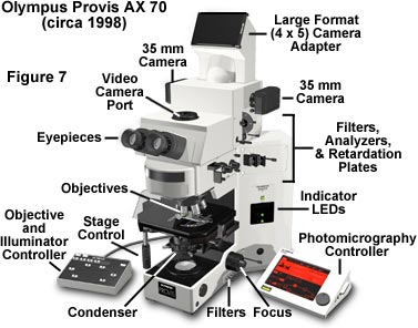 Olympus Microscope Diagram