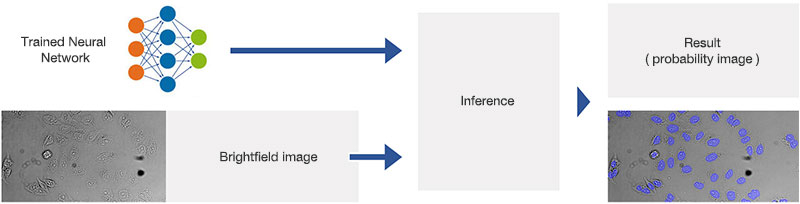 Figure 9 Schematic showing the application (inference) of the trained neural network.