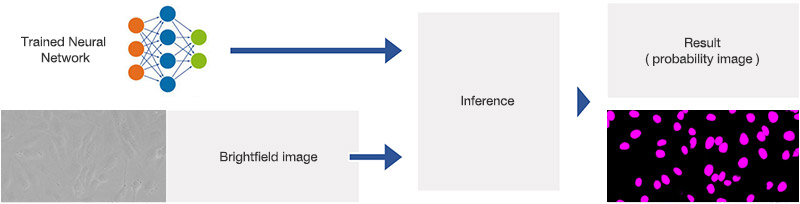 Figure6 Schematic showing the application (inference) of the trained neural network.