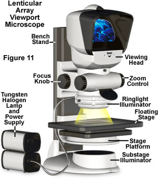 Microscope Ergonomics - Introduction to Microscope Ergonomics | Olympus LS