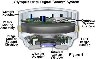 Olympus DP70 Camera System - Java Tutorial | Olympus LS