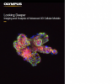 Looking Deeper: Imaging and Analysis of Advanced 3D Cellular Models