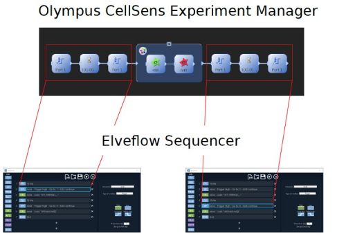 Elveflow sequencer
