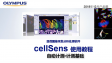 cellSens分析 计测-自动计测基础步骤-分割-筛选-显示全版