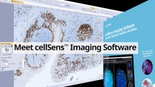 Meet cellSens™ Imaging Software
