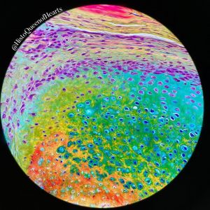 Pentachrom-Färbung unter dem Mikroskop