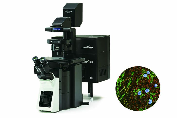Webinar: Guidance for Quantitative Confocal Microscopy