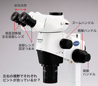 実体顕微鏡の操作箇所