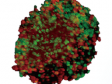 Réponse à un traitement médicamenteux : analyse du cycle cellulaire de cultures cellulaires 3D