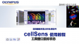 cellSens 사용 전-이미지 창과 마우스 설명 동기화