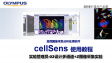 cellSens acquisition-experiment manager-02 mutichannel and Z stacks image acquisition