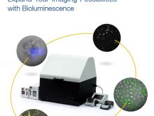 Expand Your Imaging Possibilities with Bioluminescence