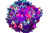 Análise 3D de esferoides tumorais de cocultura usando o software NoviSight™