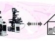 Guía para una microscopía a distancia: Seis consejos para preparar su configuración de laboratorio con éxito