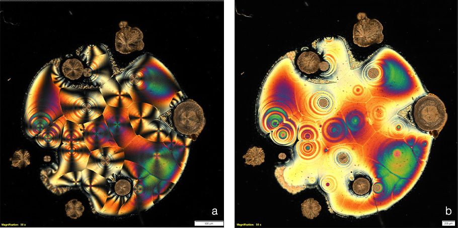 Images of vitamin C under linear and circular polarized microscopy