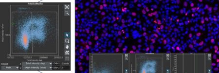 Image cytometry for evaluating large cell populations