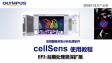 cellSens processing-EFI 01 post EFI process of Z stacks